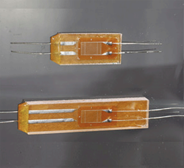 DD系列單側彎曲應變片